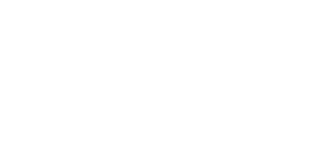Surplus Logo
